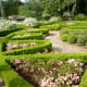 Manicured beds in Clio garden