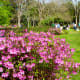 Beautiful landscaping