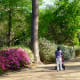 A walkway through the gardens