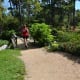 houston-metro-some-fascinating-facts-and-information