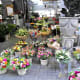 Flowers in Bloemenmarkt.