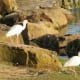 the-three-community-parks-of-the-wfdd-in-katy-texas