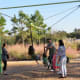 Unique swing