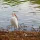 the-three-community-parks-of-the-wfdd-in-katy-texas
