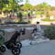 Exploration Park