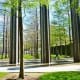 gus-and-lyndall-wortham-park-and-wortham-fountain-comparing-both-houston-sites
