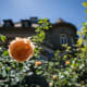 Gardens in the Pittock Mansion