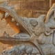 david-icke-and-the-mystery-of-the-reptilians
