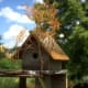how-to-see-fairies-in-the-garden