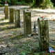 from the photographer: "As we walked the short path to these 13 'Unknown Confederate' graves, I felt as if the very air around me was vibrating"
