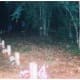 The 13 (Thirteen!) Graves of Unknown Soldiers