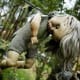 three-real-cases-of-haunted-dolls