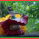 santa-muerte-for-witches