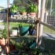 You can grow herbs and plants even in urban settings.