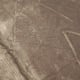 Nazca Geoglyphs