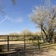 The gates on Hicken Ranch Road