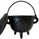 $29.99 for a 4.5" diameter cauldron- great price, and as I own this exact model I can confidently say this is a great choice. You can use it for a variety of purposes- perfect for spells, rituals, or just to add flair to your altar.