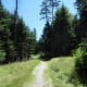 Jordan Pond Path (Shore Trail)
