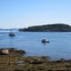 Porcupine Island and harbor from Shore Path