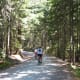 Biking on the carriage road near Jordan Pond House.