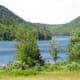 View across the blueberry field to Jordan Pond.