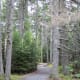 Wonder Land Trail