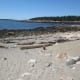 Shoreline off of Wonder Land Trail