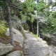 Ocean Path near Otter Cliffs