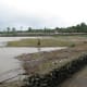 The view of Paoay Lake at the back of Malacanang of the North