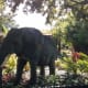 Lego Elephant.