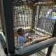The Forestman's Hideout has lots of ropes and obstacle courses for kids to climb.