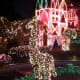 All the bush animals are decorated in colored lights.