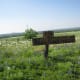 No Tresspassing--the Willow City Loop is through private property so be sure you are respectful.
