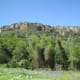 Bluebonnets against the mountain scenery.