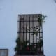 Like Many Towns in Andalusia, Olvera Boasts Pretty Plants, Windows, and Doors.
