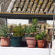 olvera-spain-a-place-in-the-sun