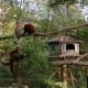 Szeged Zoo