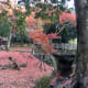 the-most-beautiful-places-to-visit-in-japan-and-when-you-should-visit