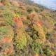 The view going up on the Kintetsu Ropeway (Nov. 6, 2017).