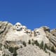 Mount Rushmore is home to mountain goats. The government of Canada gave nearby Custer State Park six Rocky Mountain goats in 1923 and they escaped their pen.