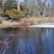 This half frozen pond is beautiful in late winter, even more so in Michigan's other 3 extreme seasons.