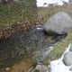 In this picture we see flowing water seeming to come directly out of this rock. In reality it is a small stream that alternates its flow above,then below ground.