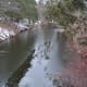 A picturesque stream