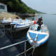A line of speedboats wait for customers.