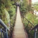 A rickety old bridge over a steep drop.