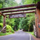 Nisqually Entrance @ Mount Glacier National Park