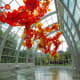 Chihuly Garden and Glass in Seattle