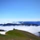 top-ten-things-to-do-in-seattle