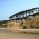 Cliff at Beverly Beach