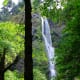 Starvation Creek Falls in the Columbia River Gorge